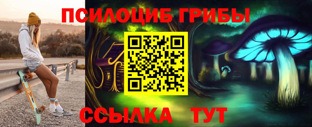 Псилоцибиновые грибы GOLDEN TEACHER Гудермес