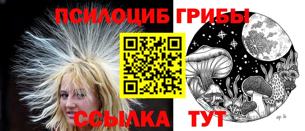 цены наркотик  Вход с VPN  Гудермес  Галлюциногенные грибы Psilocybe 